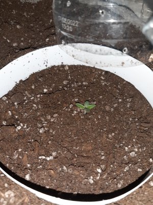 20221220_093106.jpg 20221220_093106.jpg