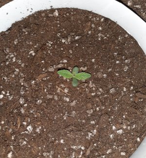 20221220_093036.jpg 20221220_093036.jpg