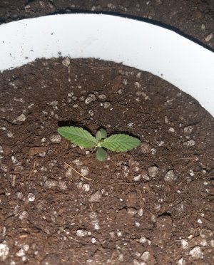 20221220_093009.jpg 20221220_093009.jpg