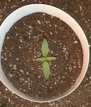 20221220_092923.jpg 20221220_092923.jpg