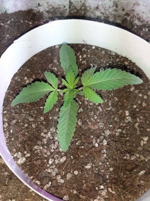 20221220_100407.jpg 20221220_100407.jpg