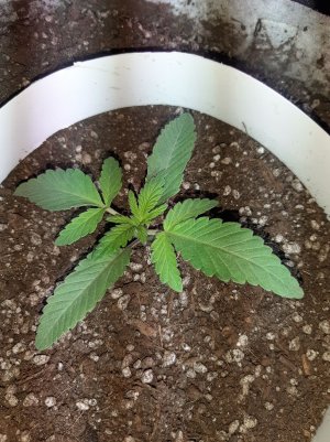 20221220_100327.jpg 20221220_100327.jpg