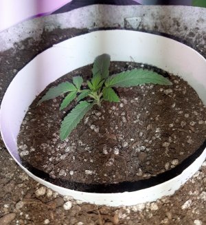 20221220_100346.jpg 20221220_100346.jpg