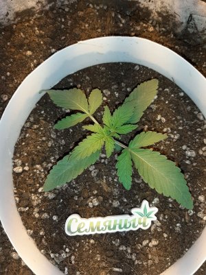 20221220_105428.jpg 20221220_105428.jpg