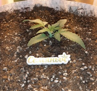 20221220_105349.jpg 20221220_105349.jpg