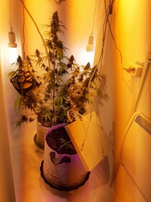 20221220_105312.jpg 20221220_105312.jpg