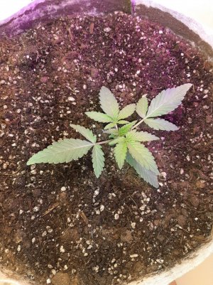 20221220_105210.jpg 20221220_105210.jpg