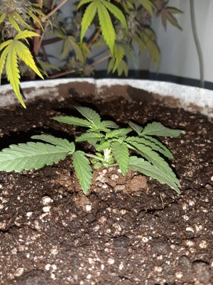 20221220_113536.jpg 20221220_113536.jpg