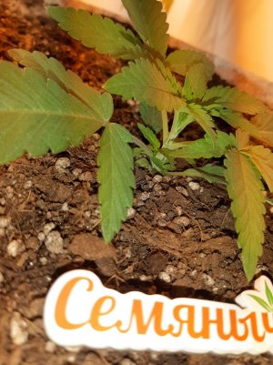 20221220_113449.jpg 20221220_113449.jpg