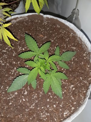 20221220_113417.jpg 20221220_113417.jpg