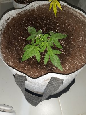 20221220_115419.jpg 20221220_115419.jpg