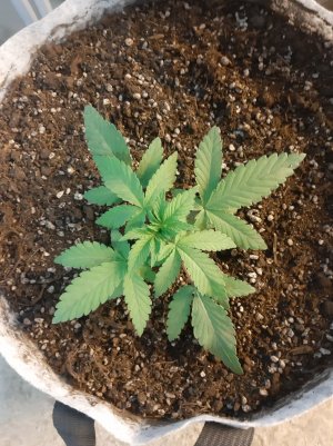 20221220_115405.jpg 20221220_115405.jpg