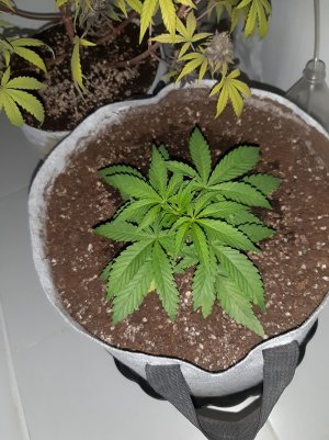 20221220_125740.jpg 20221220_125740.jpg