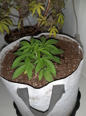 20221220_125723.jpg 20221220_125723.jpg