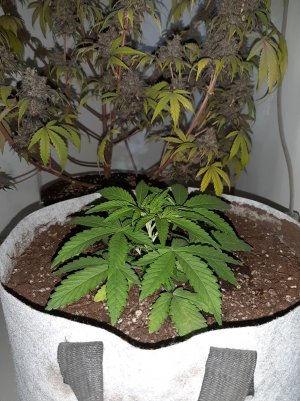 20221220_125711.jpg 20221220_125711.jpg