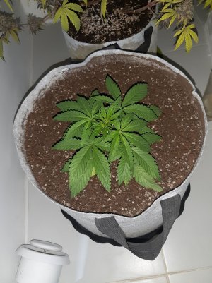 20221221_131635.jpg 20221221_131635.jpg