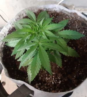 20221221_131551.jpg 20221221_131551.jpg