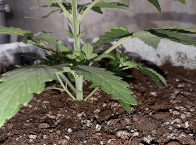 20221221_131448.jpg 20221221_131448.jpg