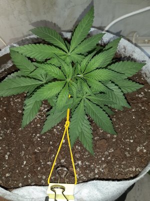 20221221_131431.jpg 20221221_131431.jpg