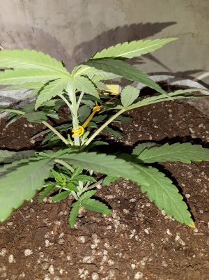 20221221_131407.jpg 20221221_131407.jpg