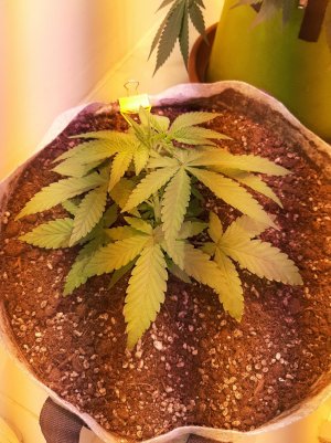 20221221_143005.jpg 20221221_143005.jpg