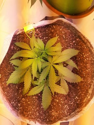 20221221_142952.jpg 20221221_142952.jpg