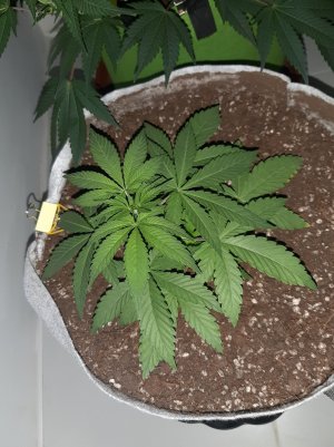 20221221_142939.jpg 20221221_142939.jpg