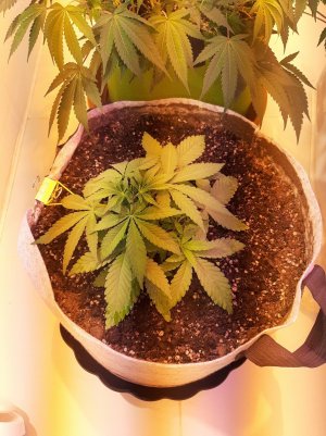 20221221_144720.jpg 20221221_144720.jpg