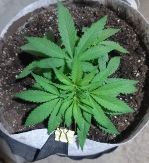 20221221_144445.jpg 20221221_144445.jpg