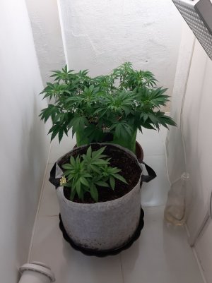 20221221_144339.jpg 20221221_144339.jpg