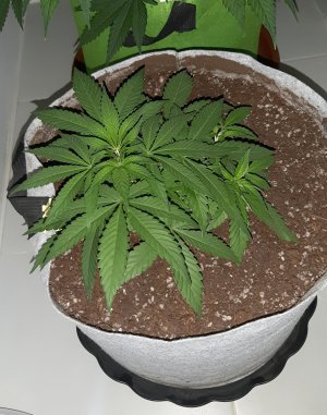 20221222_092703.jpg 20221222_092703.jpg