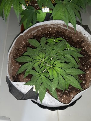 20221222_092628.jpg 20221222_092628.jpg