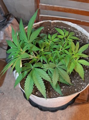 20221222_095434.jpg 20221222_095434.jpg