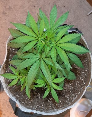 20221222_095413.jpg 20221222_095413.jpg