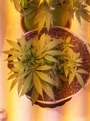 20221222_095329.jpg 20221222_095329.jpg