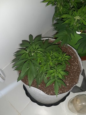 20221222_095230.jpg 20221222_095230.jpg