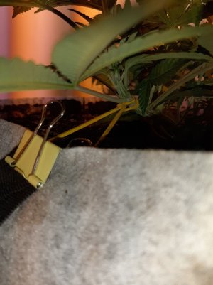 20221222_104147.jpg 20221222_104147.jpg