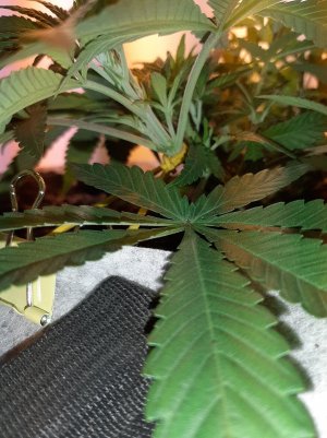 20221222_104132.jpg 20221222_104132.jpg