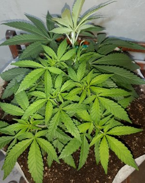 20221222_114431.jpg 20221222_114431.jpg