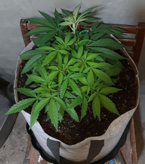 20221222_114208.jpg 20221222_114208.jpg