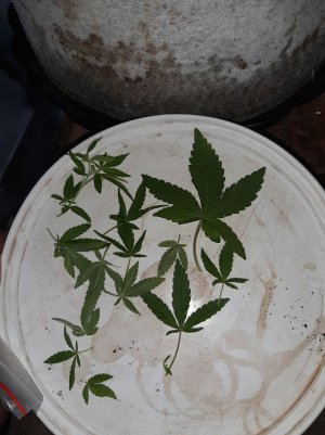 20221222_114142.jpg 20221222_114142.jpg