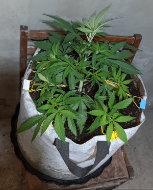 20221222_114105.jpg 20221222_114105.jpg