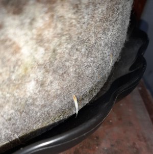 20221222_114124.jpg 20221222_114124.jpg