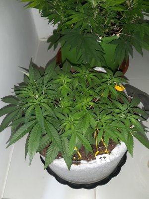 20221222_123642.jpg 20221222_123642.jpg