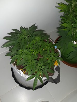 20221222_123619.jpg 20221222_123619.jpg