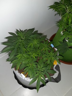 20221222_123607.jpg 20221222_123607.jpg