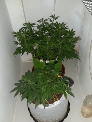 20221222_123532.jpg 20221222_123532.jpg