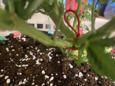 C089DE67-FEEE-417D-A566-8D3108C8E066.jpeg C089DE67-FEEE-417D-A566-8D3108C8E066.jpeg