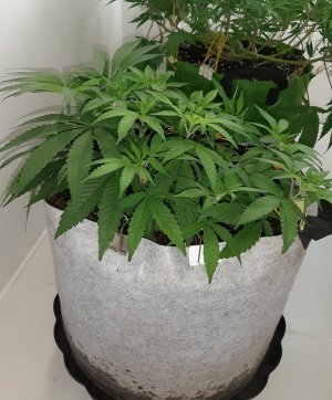 20221223_101931.jpg 20221223_101931.jpg