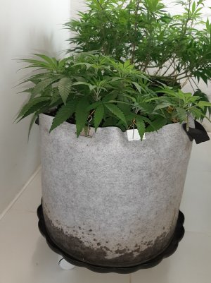 20221223_101913.jpg 20221223_101913.jpg